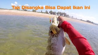 Dapat Kerapu Super Babon‼️ Casting Pinggiran Karang Dangkal‼️Mancing Ultralight Casting ‼️