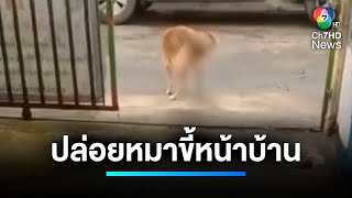 สาวร้อง ! ถูกเพื่อนบ้านปล่อยสุนัขขี้หน้าบ้าน นานหลายปี | เจาะประเด็นข่าว 7HD