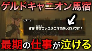 アンタが強がってるの知ってるぜ？【ゼルダの伝説 ティアーズ オブ ザ キングダム】#97