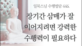 장기간 삼매가 잘 이어지려면 강력한 수행력이 필요하다ㅣ일묵스님ㅣ제따와나선원 수행법담 466.