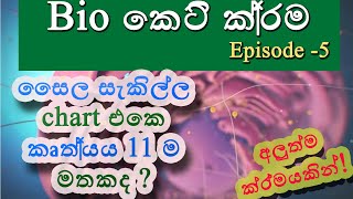 Biology short cuts-part 5- | cytoskeleton-[සෛල සැකිල්ල ]