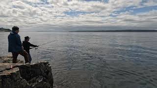 走遍纽芬兰｜Cod Fishing in Newfoundland，在纽芬兰钓鳕鱼