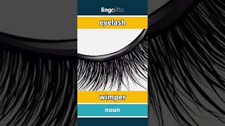 🇬🇧🇳🇱 eyelash - wimper : vocabulary builder : learn English : laten we Engels leren