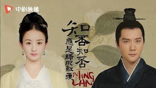 知否知否应是绿肥红瘦 ● 赵丽颖冯绍峰陷入情感抉择 【中剧独播 正在热播】