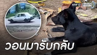 หมาถูกหลวงพ่อเอาหมาปล่อย โดนหมาเจ้าถิ่นกัดเจ็บ | เช้าวันใหม่ | ข่าวช่องวัน