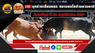 บุกค่ายเยี่ยมคอก สนามชนโคบ้านควนธานี 24/11/67  #วัวชน #วัวชนสด #ถ่ายทอดสดวัวชน #วัวชนออนไลน์