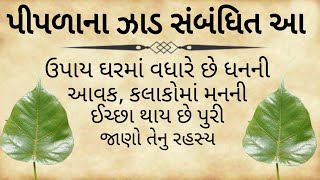 પીપળાના ઝાડ સંબંધિત આ ઉપાય ઘરમાં વધારે છે ધનની આવક, કલાકોમાં મનની ઈચ્છા થાય છે પુરી જાણો તેનુરહસ્ય