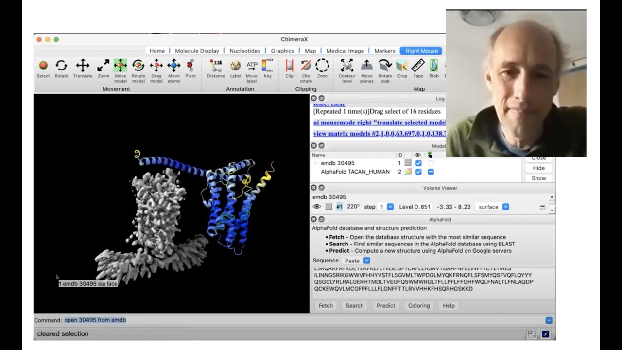 Using AlphaFold Protein Structures In ChimeraX For CryoEM Modeling ...