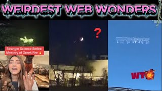 weirdest web wonders vol 11