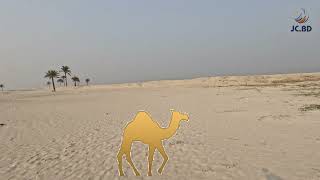 গরিবের দুবাই A new desert in Bhola, Bangladesh. #viralvideo #bangladesh