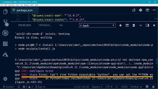 Finding NPM Dependency Errors