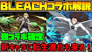 BLEACHコラボ新キャラ解説！強リーダー候補！武器もめっちゃ強いぞ！【パズドラ】