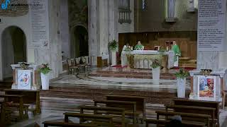 12.02.2025 - Parrocchia Santuario della Madonna di Rosa - Live Stream