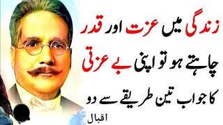 These 3 Powerful Ways To Respond An Insulting Person || Allama Iqbal Best Quotes