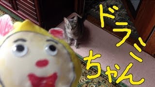 猫動画　裁縫でドラミちゃん　Cat videos Dorami chan sewing