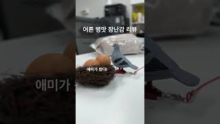 어른장난감 비둘기 리뷰 ㅋㅋㅋ