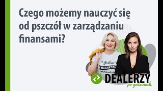 Czego możemy nauczyć się od pszczół w zarządzaniu finansami? Wywiad z Dominiką Nawrocką