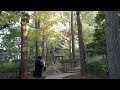 紅葉散歩　荻窪　大田黒公園　2023 11 24 a19