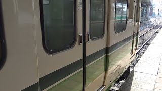 【新潟クオリティー】115系電車の半自動ドアを開閉してみた