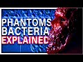 The SPECIES EXTINCT(ING?) Ancient Enemy In Phantoms Explained