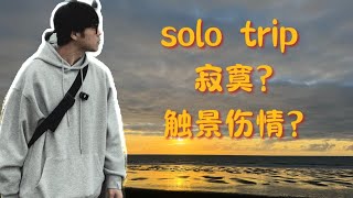 solo trip｜独自旅行会寂寞吗｜一人一狗新西兰公路游的感受｜放肆的尖叫吧