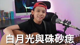 [翻唱] 大籽 - 白月光與硃砂痣「白月光在照耀，你才想起她的好」[JudeTube]