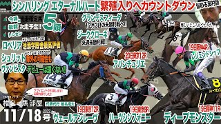 【椎チャンネル】椎名の馬部屋_11/17撮影_近況報告