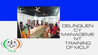 Delinquency Management Training of MCLF