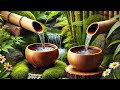 Relaxing Music for Relieving Anxiety and Stress 🌿 Sleeping Music, Healing Insomnia