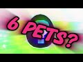 How to equip 6+ pets in Pets Go!