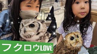 フクロウに触れるお店