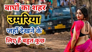 Famous Tourist Place in Umaria, Madhya Pradesh | उमरिया में घूमने की जगह | Bandhavgarh National Park