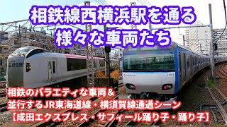 相鉄線西横浜駅を通る様々な車両たち【JR東海道線と横須賀線が通過する駅】