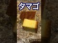 【大阪・福島グルメ】大阪のグルメスポット、福島にある江戸前寿司のお店『鮨まつやま』の寿司コースのご紹介♪ 大阪グルメ 鮨 鮨まつやま sushi osakagourmet