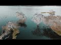 raffles udaipur raffles hotels u0026 resorts best wedding destination in udaipur drone shots 4k