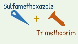 Sulfamethoxazole + Trimethoprim = Cotrimoxazole