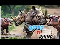 Hippo vs rhino | godzilla vs kong | rhino vs hippo | godzilla vs scarking | godzilla | kong