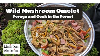 Cooking a Wild Mushroom Omelet in the Forest