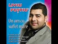 liviu pustiu mai am o zi si o noapte