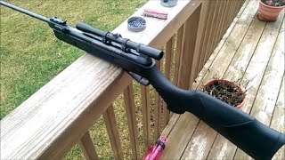 Swiss Arms SYNXT20 Pellet Rifle Review