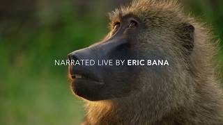 BBC Planet Earth II - Live in Concert