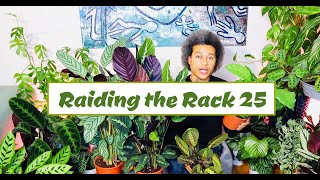 Raiding the Rack 25 \u0026 Marantaceae Prayer Plant Care Tips + More... Plant Haul