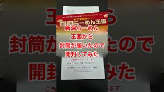 【新潟ラーメン】新潟らーめん王国から\