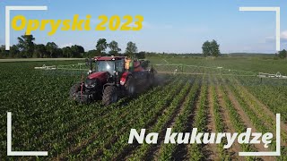 Opryski 2023 na kukurydzę⛔Case Maxxum 115 i opryskiwacz Amazone UX 4201 Super🔥Oporowo🌽GrKrysztofiak💪