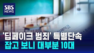 '딥페이크 범죄' 특별단속…잡고 보니 대부분 10대 청소년 / SBS