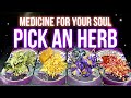 What your Soul needs right now 🧿 | Pick an Herb & Crystal ☽♀