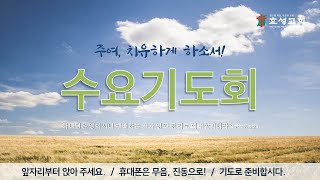 충주효성교회 11월 13일(수) 수요기도회