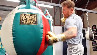 CANELO FINAL WORKOUT FOR DMITRY BIVOL; THROWS RIB BREAKING BODY SHOTS & DENTS UP BAG