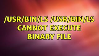 /usr/bin/ls: /usr/bin/ls: cannot execute binary file