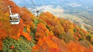 栂池ゴンドラの紅葉2015年10月15日